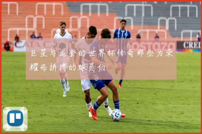 巨星与龙套的世界杯传奇那些为荣耀而拼搏的球员们